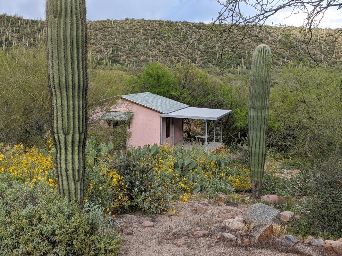 Saguaro Lake Ranch Fountain Hills Buitenkant foto